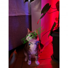 Airtag Tutuculu Kedi Tasması Zilli ve Reflektörlü Mavi