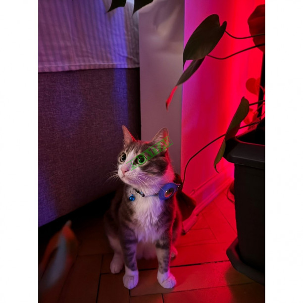 Airtag Tutuculu Kedi Tasması Zilli ve Reflektörlü Mavi