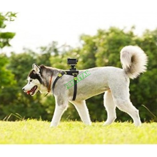 Sony AKA-DM1 Köpek Aparatı Sony AKA-DM1 Köpek Aparatı