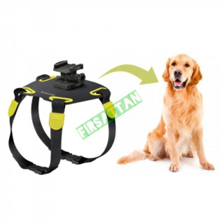 Sony AKA-DM1 Köpek Aparatı