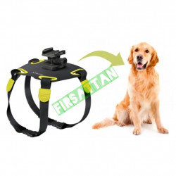Sony AKA-DM1 Köpek Aparatı