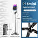 P15 Mini Selfie Çubuğu 41.5 cm Mini Grip Quadripod Aluminum Uzaktan Kumandalı P15 Mini Selfie Çubuğu 41.5 cm Mini Grip Quadripod Aluminum Uzaktan Kumandalı