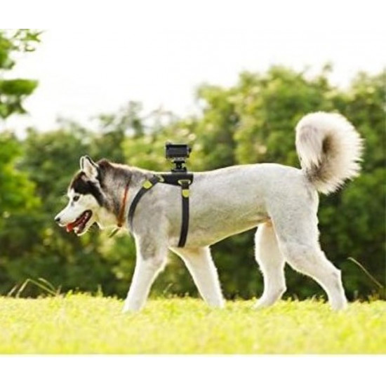 Sony AKA-DM1 Köpek Aparatı Sony AKA-DM1 Köpek Aparatı