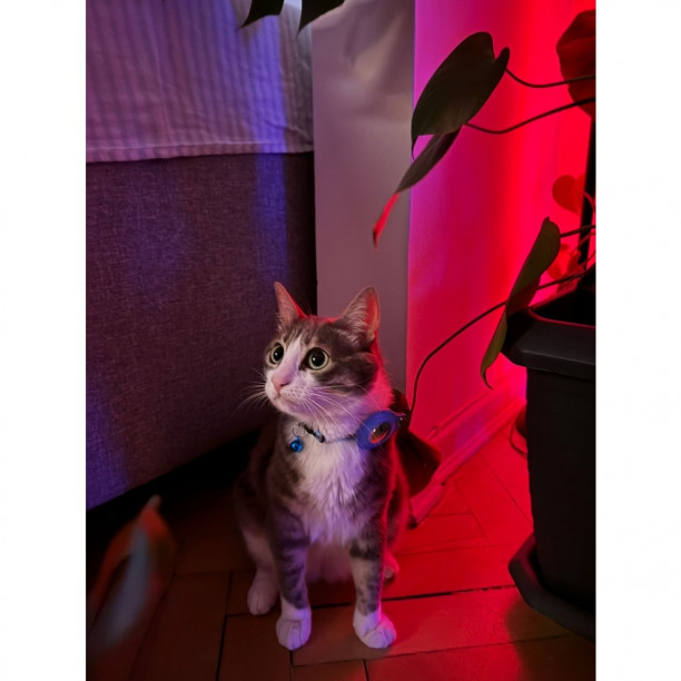 Airtag Tutuculu Kedi Tasması Zilli ve Reflektörlü 4 Renkte
